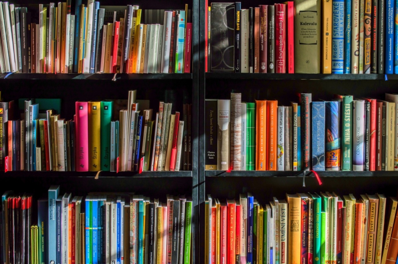 vitrine-BELGENTIER-min_books_bookstore_book_reading_shop_writer_sale_books_read-822866